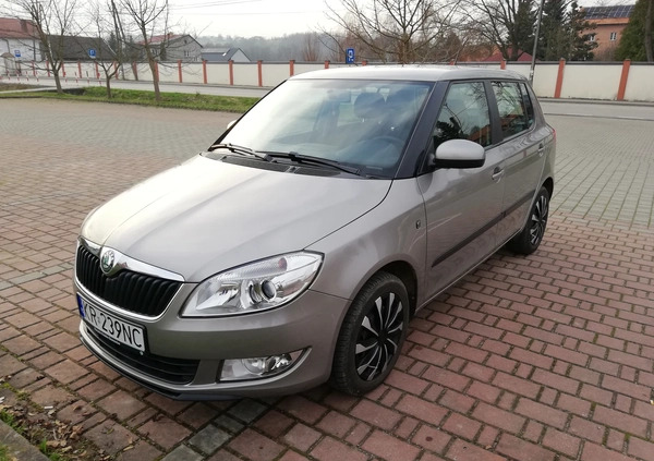 Skoda Fabia cena 18900 przebieg: 136800, rok produkcji 2010 z Kraków małe 46